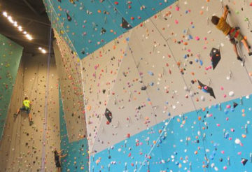 L’escalade en salle